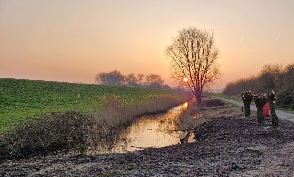 Minekus-Beverwerend-schoon talud-r Minekus-Beverwerend-schoon talud-r