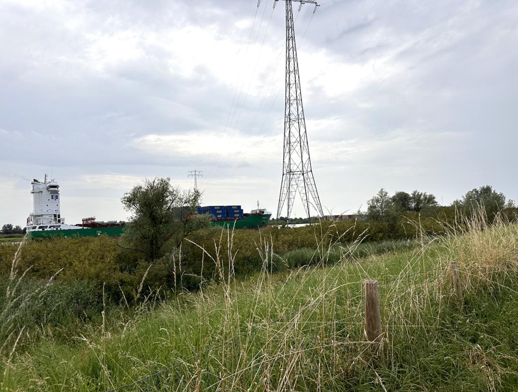 Beverwering in Hoogvliet houdt het achter de dijk veilig