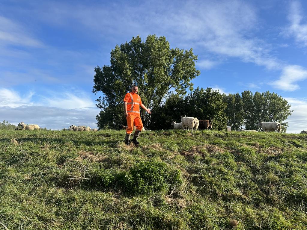 Waterkerende dijk Cromstrijen