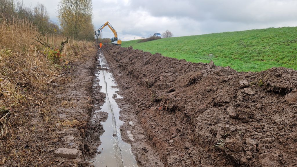 Dijkbescherming tegen bevers in rivierengebied