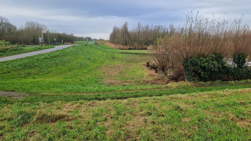 Dijkbescherming tegen bevers in rivierengebied
