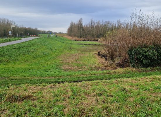 Dijkbescherming tegen bevers in rivierengebied