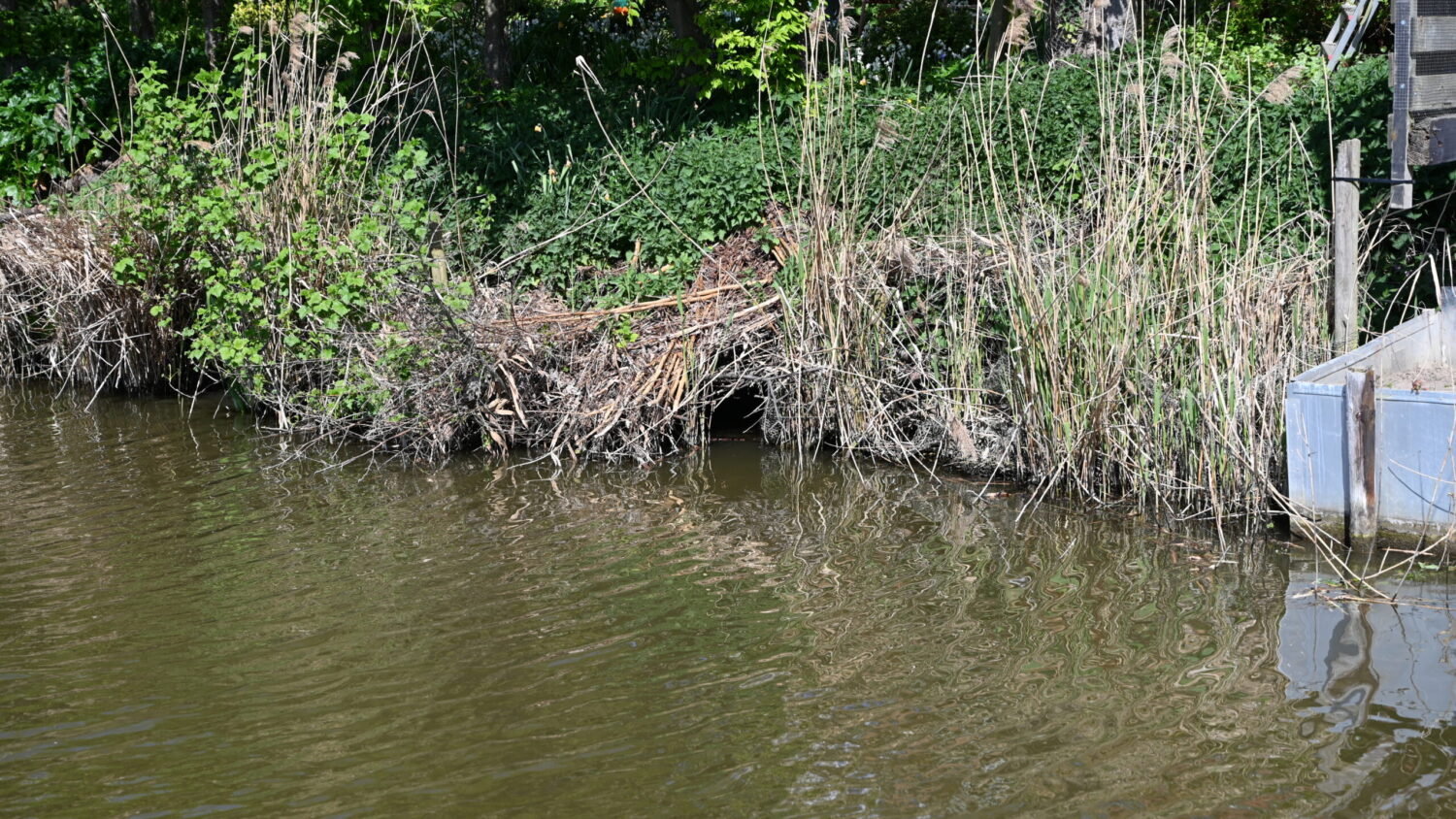 Bevers Molendijk Numansdorp